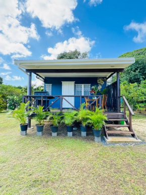 Sharnytas Studio AIR CONDITIONED